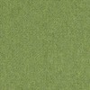 2644-Light Green